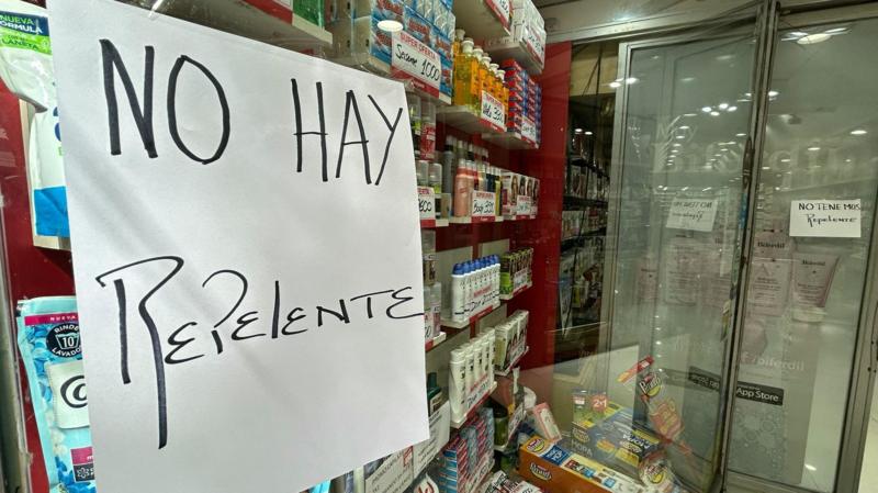 “Siento que contagiarme o no es sólo cuestión de suerte”: Argentina atraviesa el peor brote de dengue de su historia con una grave escasez de repelentes