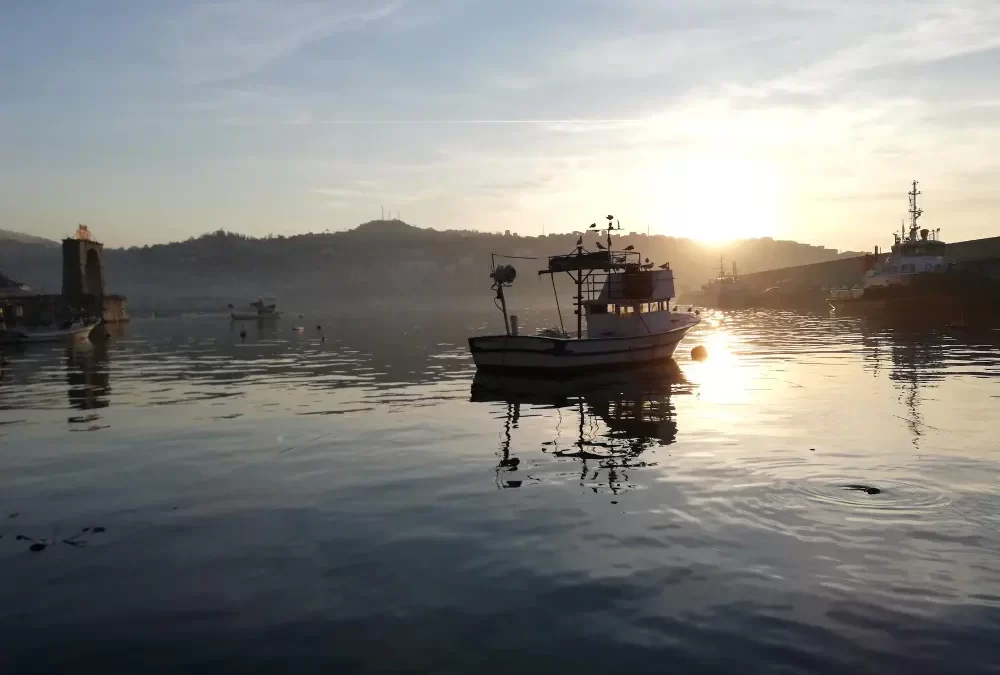 El Pescador Reflexion