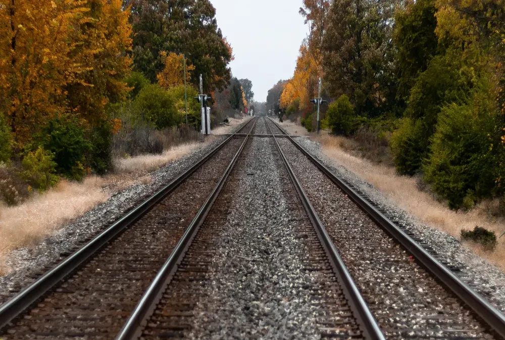 El Tren de la Vida Reflexion