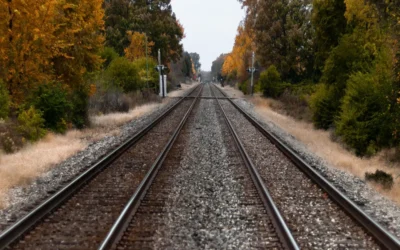 El Tren de la Vida Reflexion