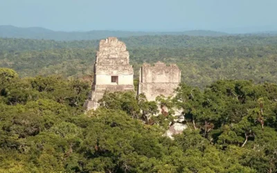 Cómo las ciudades mayas han sobrevivido durante más de un milenio en medio de la selva